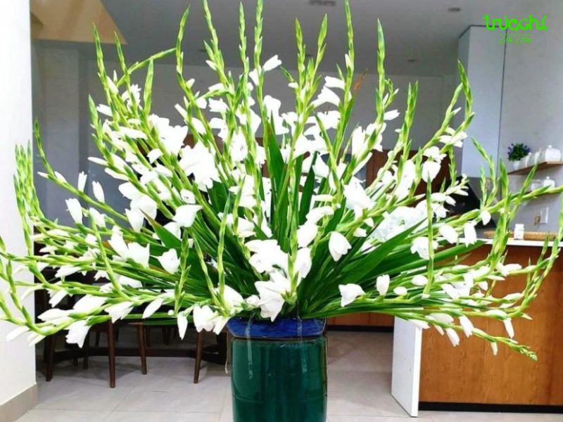 cắm hoa huệ trắng bàn thờ